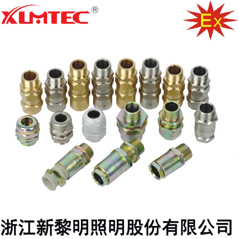 z6com尊龙防爆304加紧接头