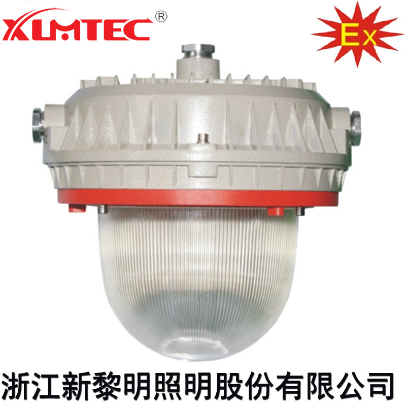 BZD180-103系列防爆免维护LED照明灯(IIC)