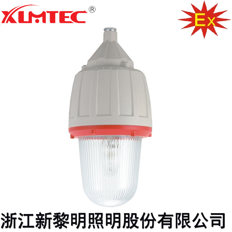 CCd92系列防爆照明灯(IIC)